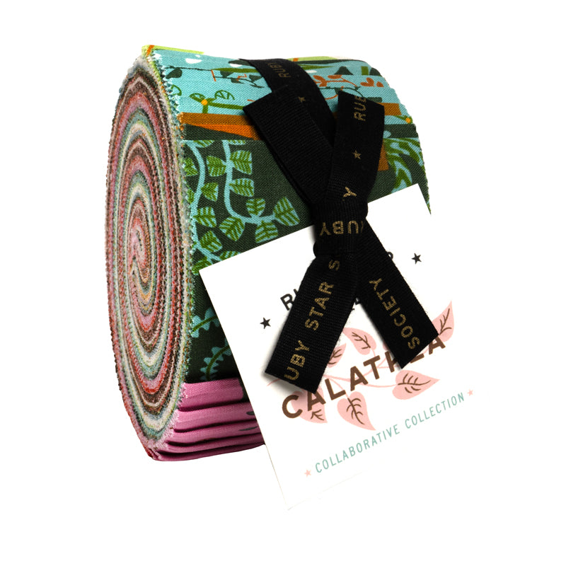 ** Coming Soon ** Calathea | Jelly Roll