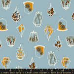 ** Coming Soon ** Terrarium in Soft Blue | Calathea