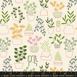 ** Coming Soon ** Plant Life in Natural | Calathea