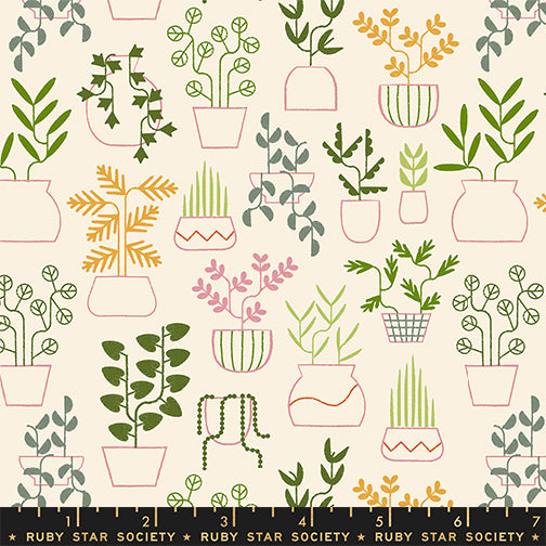 ** Coming Soon ** Plant Life in Natural | Calathea