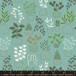 ** Coming Soon ** Plant Life in Watercress | Calathea