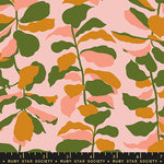 ** Coming Soon ** Fiddle Leaf in Sweet Pink | Calathea