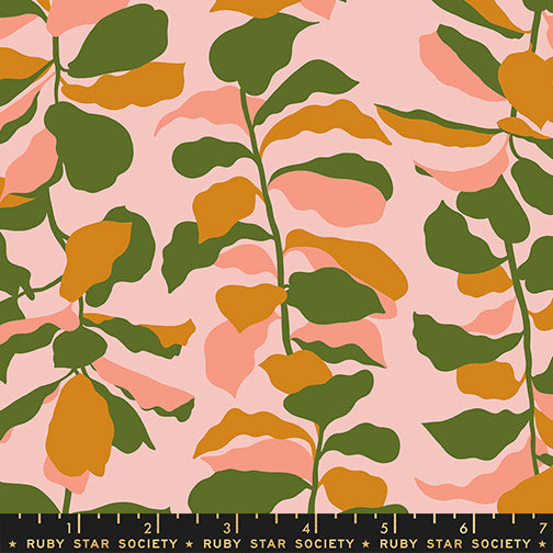 ** Coming Soon ** Fiddle Leaf in Sweet Pink | Calathea