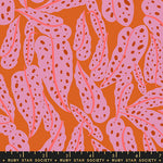 ** Coming Soon ** Overlapping Leaves in Pecan | Calathea