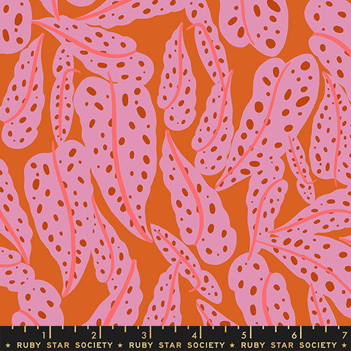 ** Coming Soon ** Overlapping Leaves in Pecan | Calathea
