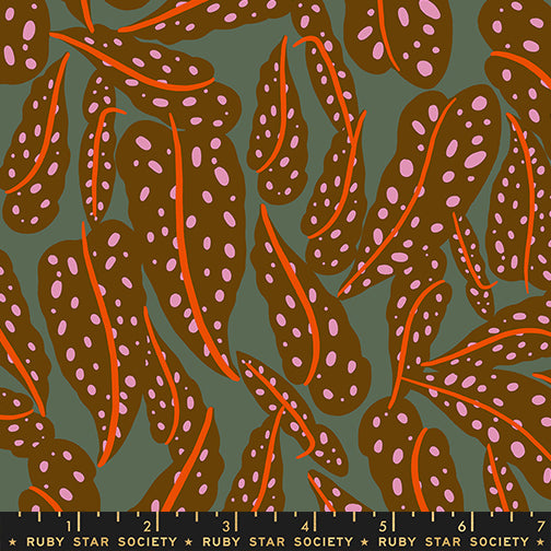 ** Coming Soon ** Overlapping Leaves in Cocoa | Calathea