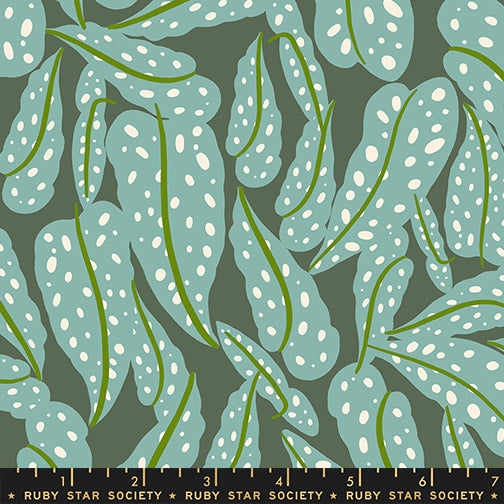 ** Coming Soon ** Overlapping Leaves in Seaweed | Calathea