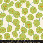 ** Coming Soon ** Pilea in Natural | Calathea