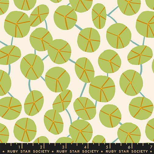 ** Coming Soon ** Pilea in Natural | Calathea