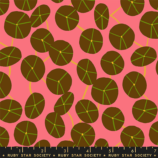 ** Coming Soon ** Pilea in Strawberry | Calathea