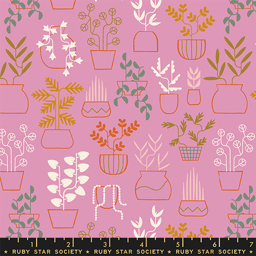 ** Coming Soon ** Plant Life in Kiss | Calathea