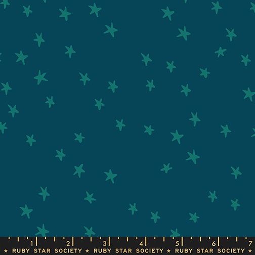 Starry in Galaxy | Starry