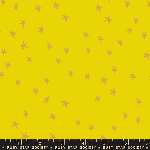 Starry in Golden Hour | Starry