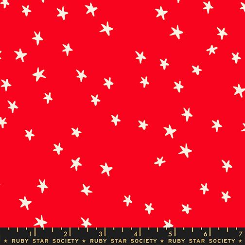 Starry in Ladybug | Starry