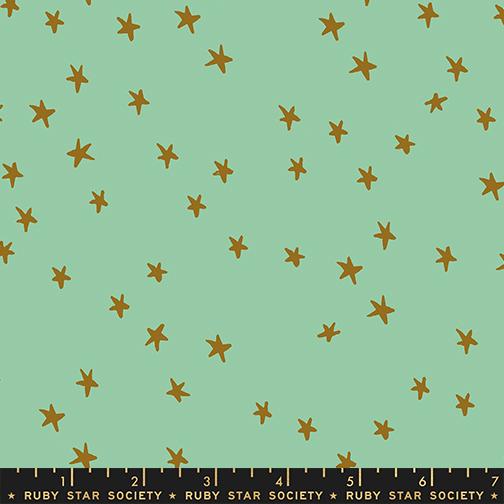 Starry in Moss | Starry