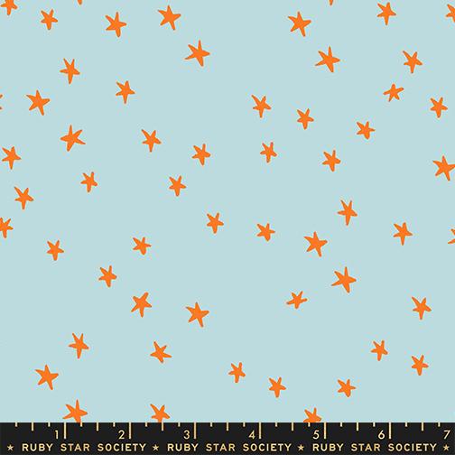 *Coming Soon*  Starry in Polar | Starry