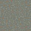 Bloom Burst Moonlit | Tangerine