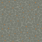 Bloom Burst Moonlit | Tangerine